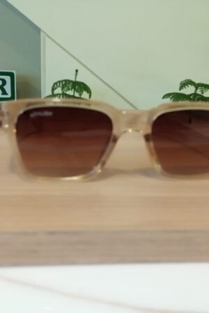Sunglass