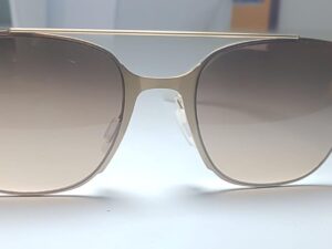 Sunglasses 2622