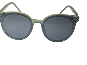 Sunglasses 2640